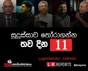 LK reports