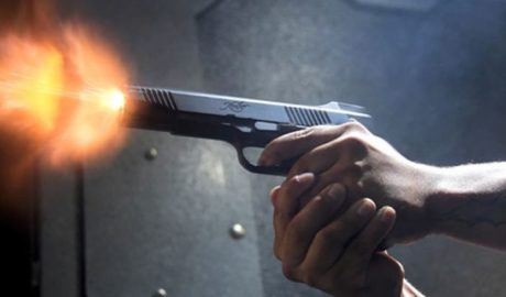 Gun