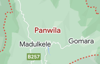 20 injured in Bus accident in Panwila