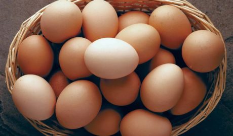 Ministry to import 200,000 hatching eggs