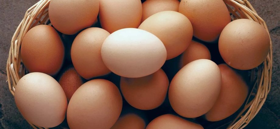 Ministry to import 200,000 hatching eggs