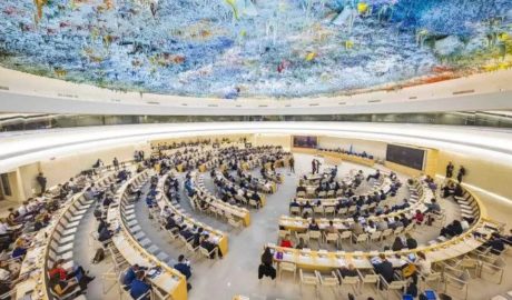 United Nations Human Rights Council