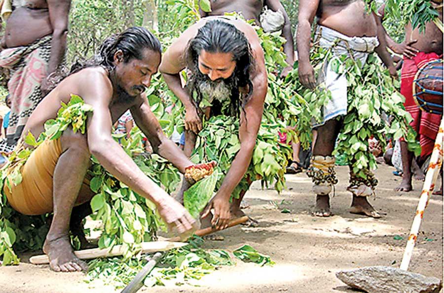 ආදිවාසී ජනතාවගේ ජීවනෝපාය කටයුතු නියාමනයට නව රෙගුලාසි